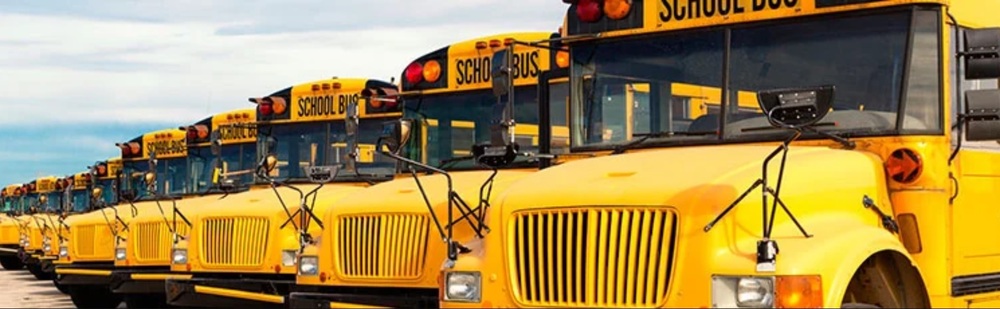 Picture of busses